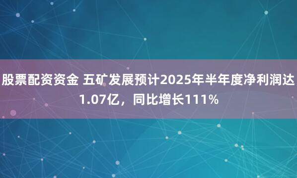 股票配资资金 五矿发展预计2025年半年度净利润达1.07亿，同比增长111%