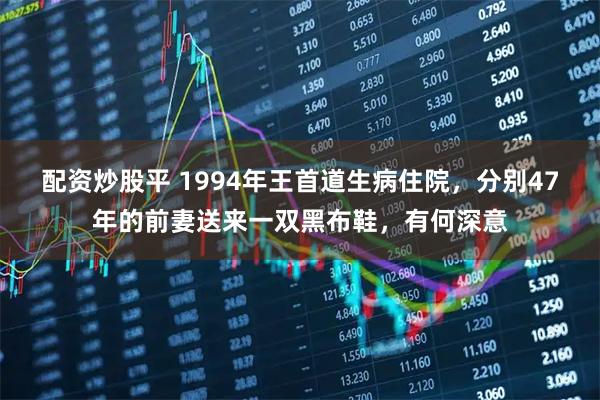 配资炒股平 1994年王首道生病住院，分别47年的前妻送来一双黑布鞋，有何深意